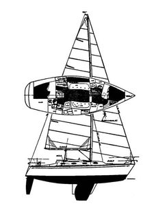 Tartan 31 Drawing