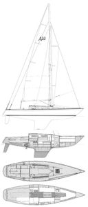 Abbott 33 Drawing