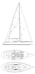 Wylie 38 Drawing
