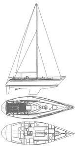 Swan 391 Drawing