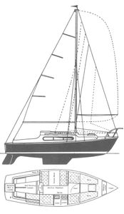 Snapdragon 26 Drawing