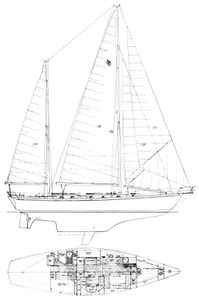 Shannon 50 Drawing