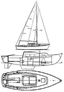 Signet 20 Drawing