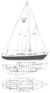 Columbia 31 Drawing