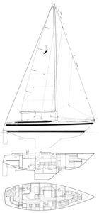 Trintella 45 Drawing