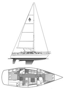 Catalina Morgan 440 Drawing