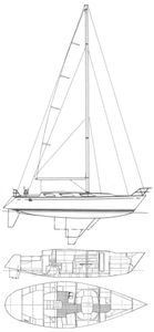 Lacoste 42 Drawing