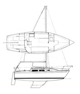 Jaguar 25 Drawing