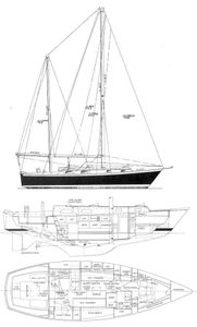 Pearson 365 Drawing