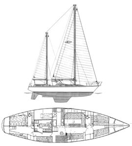 Mango 52 (Amel) Drawing