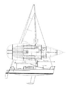 Tripp 33 Drawing