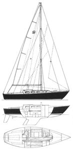 Santana 37 Drawing
