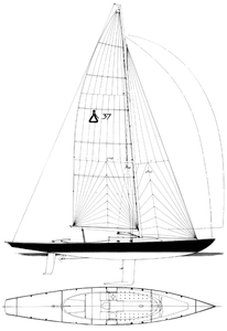 Spirit 37 (MC Millan) Drawing