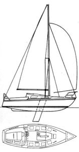 Austral 24 Drawing