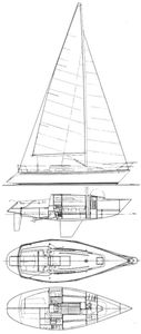 Contessa 33 Drawing
