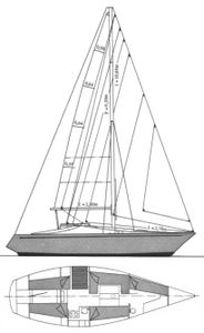 Costantini 30 Drawing