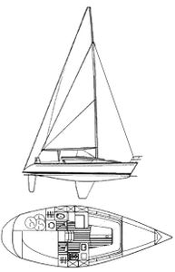 Elite 30 Drawing