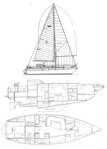 Chinook 37 Drawing