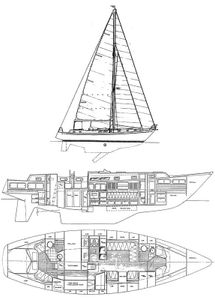 Brewer 44 Drawing