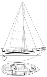 Lord Nelson 35 Drawing