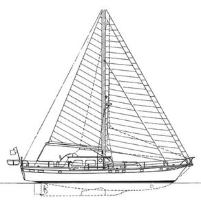 Wellington 60 Drawing