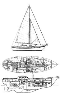 Brewer 46 Drawing