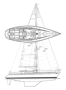 Sceptre 43 Drawing