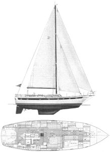 Liberty 49 Drawing
