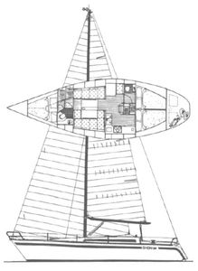 Show 38 Drawing