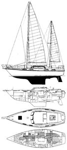 Victor 40 (Colvic) Drawing