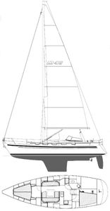 Malo 40 H Drawing