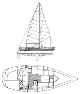 Elite 32 Drawing