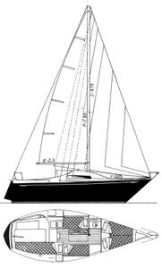 Puma 24 Drawing