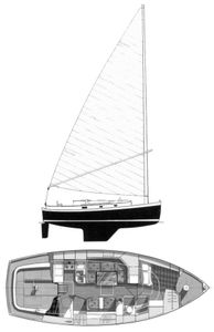 Nonsuch 33 Drawing