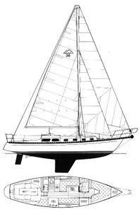 Cascade 36 Drawing