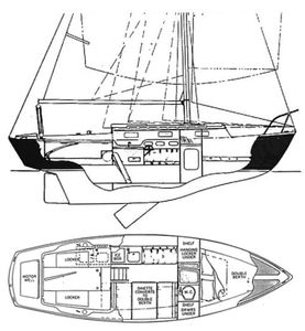 Pacific Dolphin 24 Drawing