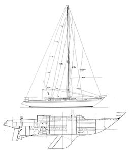 Carter 40 Drawing
