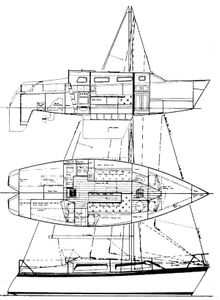Caribbea 30 Drawing