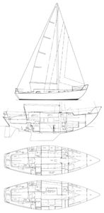 Rival 31 Drawing