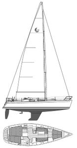 Comfortina 39 Drawing