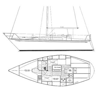 Puma 29 Drawing