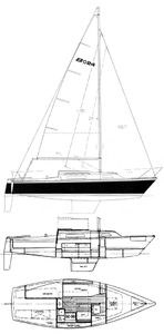 Balboa 24 Drawing