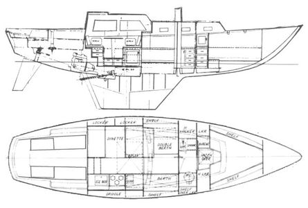 Cal Cruising 36 Drawing