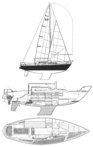 Edel 3 Drawing