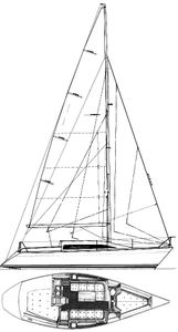 Maestro 31 Drawing
