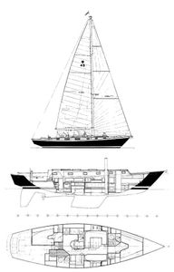 Morris 46 Drawing