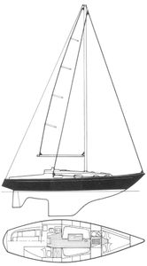 Contessa 32 Drawing