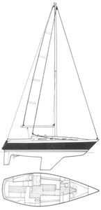 Gladiateur 33 Drawing