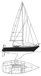 Aloa 29 Drawing