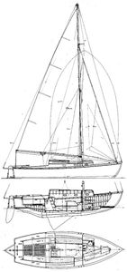 Daina 25 Drawing